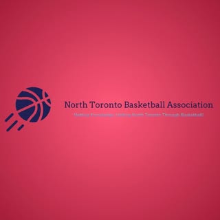 NBA (NT Basketball Association)